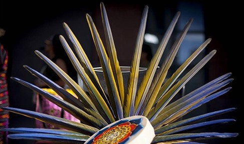 Feathered headdress detail at a cultural event